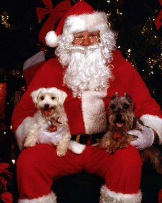 Vive le champagne californien !!!