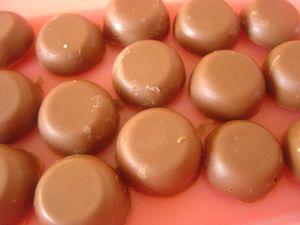 Pralinoise au coeur feuilletés DSC09392