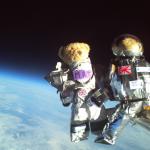 Des nounours dans l’espace!