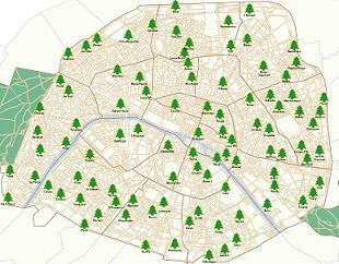 Recycler le sapin de noël : Paris collecte les sapins