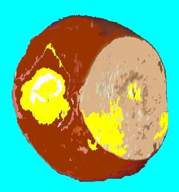 Marron niais: Top 7 de par ici! Marron niais: Top 7 de par ici!