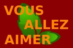 Un grand changement pour 2009!