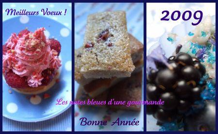 Galette-couronne de houx pour la nouvelle année ! Picnicollage