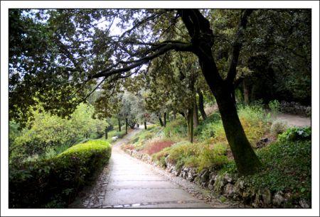 Blog Les chemins vides.jpg