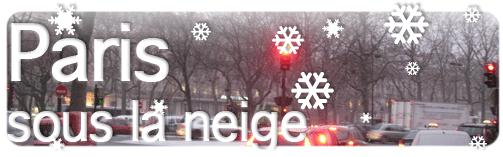 paris sous la neige