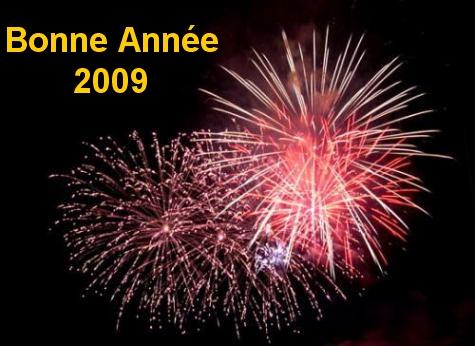 Bonne Année 2009 à tous bonne année 2009