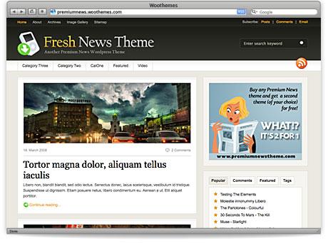 meilleurs thèmes WordPress premiums l’année 2008