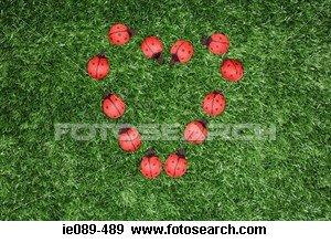 Les coups de coeur de 2008