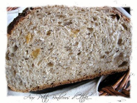 Pain aux pommes, noix de coco et raisins (600 g) Tranchepluspr_s