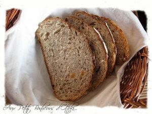 Pain aux pommes, noix de coco et raisins (600 g) Paintranch_