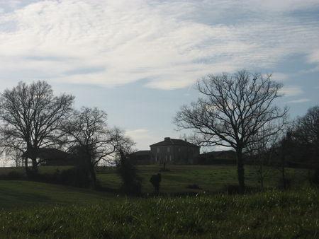 Balade autour d'Arrouède, le premier jour de l'an 2009 ! IMG_0640