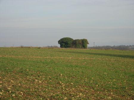 Balade autour d'Arrouède, le premier jour de l'an 2009 ! IMG_0679