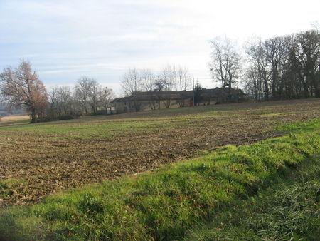 Balade autour d'Arrouède, le premier jour de l'an 2009 ! IMG_0692