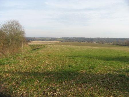 Balade autour d'Arrouède, le premier jour de l'an 2009 ! IMG_0643