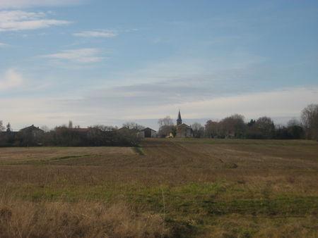 Balade autour d'Arrouède, le premier jour de l'an 2009 ! IMG_0648