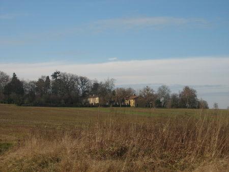 Balade autour d'Arrouède, le premier jour de l'an 2009 ! IMG_0649