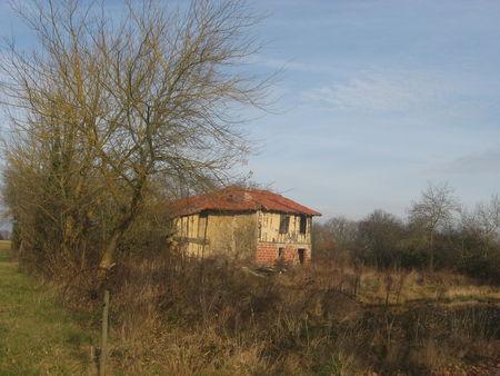 Balade autour d'Arrouède, le premier jour de l'an 2009 ! IMG_0666