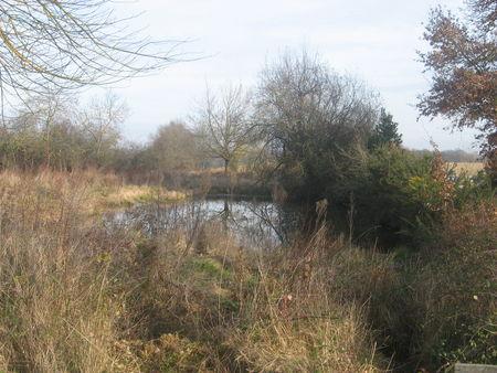 Balade autour d'Arrouède, le premier jour de l'an 2009 ! IMG_0667