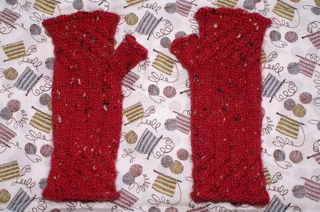 Fo 2008/2009 PICT3180