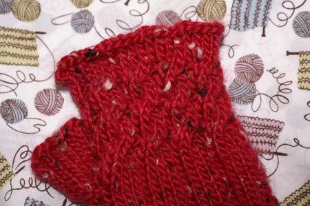 Fo 2008/2009 PICT3183