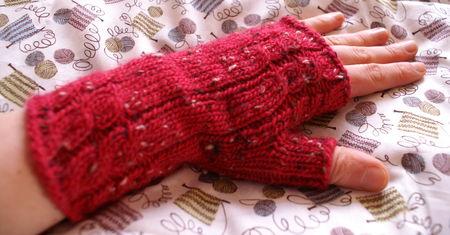 Fo 2008/2009 PICT3185