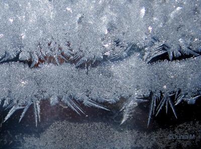 Les photos du jour: 6 janvier 2009 La Chaux-de-Fonds: vitre givrée