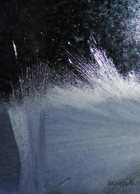 Les photos du jour: 6 janvier 2009 La Chaux-de-Fonds: vitre givrée