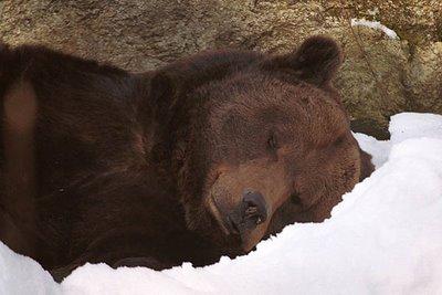 Des bouchons contre les ronflements