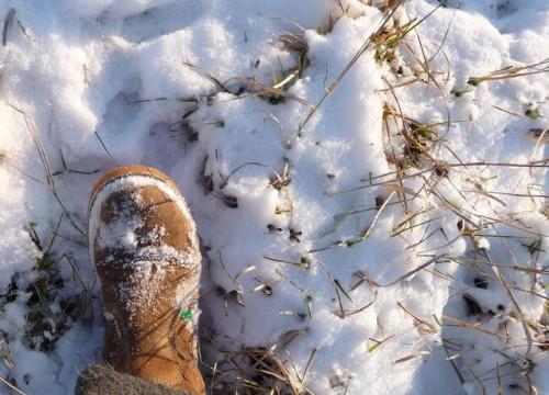 Ten feet under ! P1040138-1.JPG