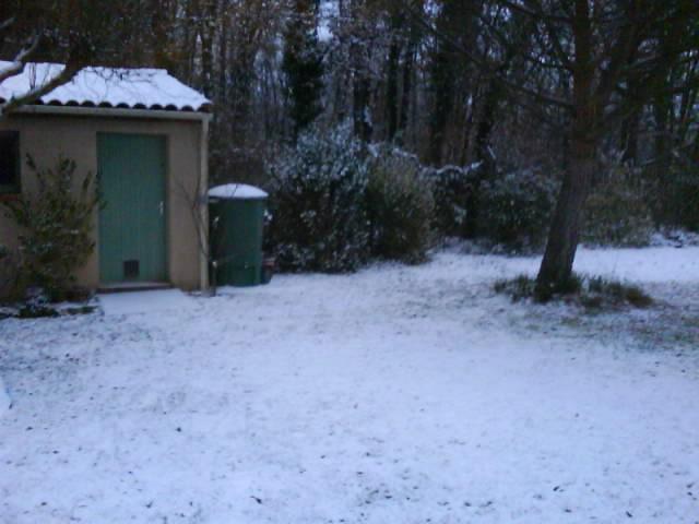 Neige dans mon jardin