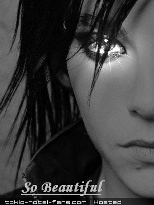 Photo 6795 Photo 6795