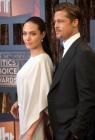 Angelina Jolie et Brad : complémentaires