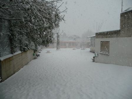 Hiver_2008_2009_0218.JPG, jan 2009 Hiver_2008_2009_0218.JPG