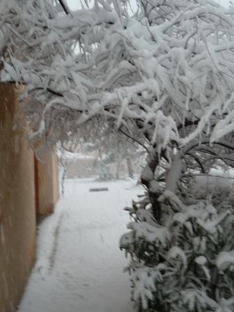 Hiver_2008_2009_0235.JPG, jan 2009 Hiver_2008_2009_0235.JPG