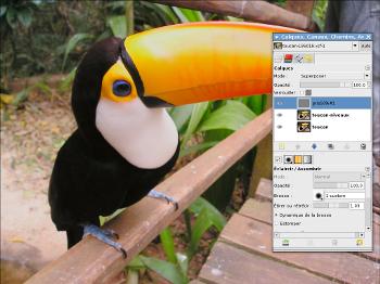 Gimp - Retoucher ponctuellement la luminosité