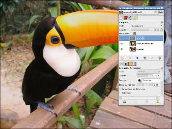 Gimp - Retoucher ponctuellement la luminosité