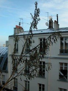 Quelques heures sans gel, vite arroser !