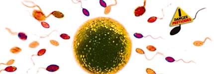 Une nouvelle législation européenne sur les pesticides... Une nouvelle législation européenne sur les pesticides...