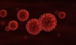 Une découverte encourageante pour les malades du Sida et les patients greffés virus du Sida