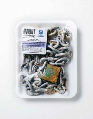 Surfrider Foundation Catch of the Day