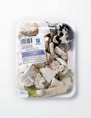 Surfrider Foundation Catch of the Day