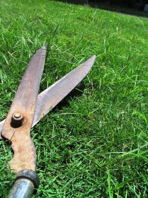 Le jardinage améliore les performances sexuelles masculines Cisailles