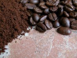 Du marc de café transformé en biocarburant ? café
