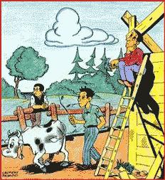 L'ïle des Naufragés L'ïle des Naufragés