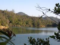 Kam Shan Country Park et les singes