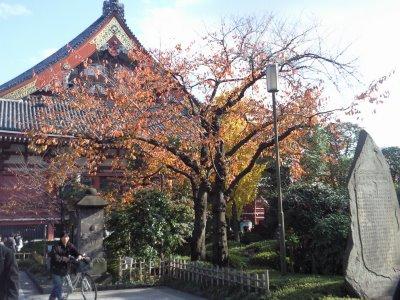 Episode 3 - la revange du Jap' (Japon 3/?)