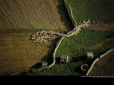 La Tunisie vue du ciel par Yann Arthus-Bertrand (photos magnifiques)