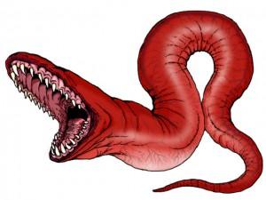 worm worm