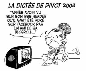 pivot2008