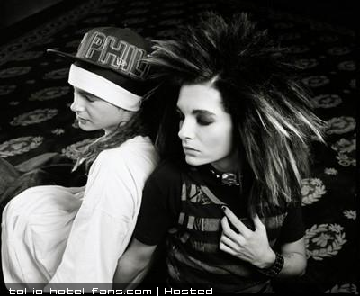 Photo 6945 Photo 6945